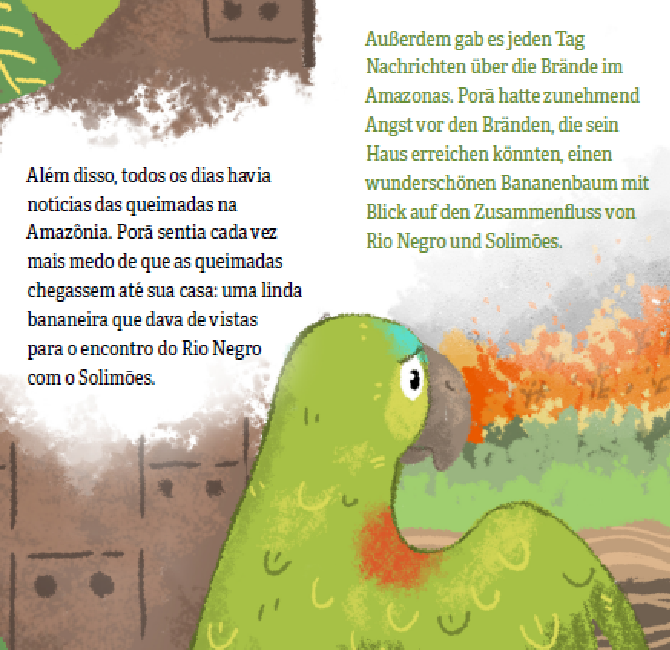 um exemplo das ilustrações do livro, um papagaio